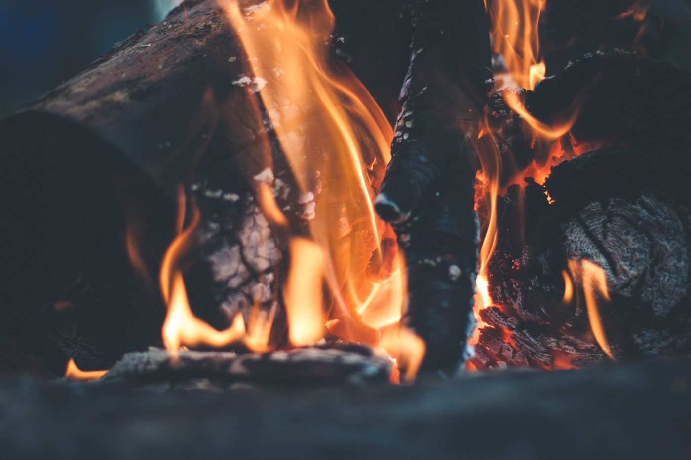 A wood fire burned down to a steady bed of coals